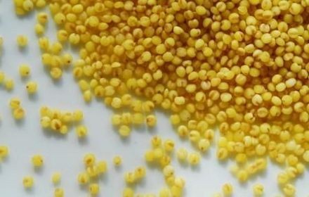 6款米饭助你减肥兼美容 最养颜的是薏米