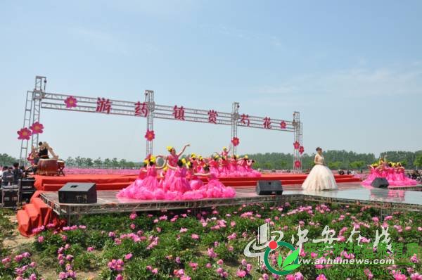 2014中国（亳州）首届芍花节开幕(图)