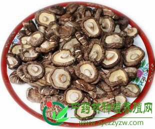 饮食防癌：四类蔬菜防癌抗癌显奇效