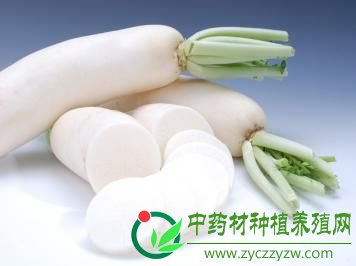 饮食防癌：四类蔬菜防癌抗癌显奇效