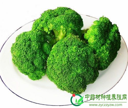 饮食防癌：四类蔬菜防癌抗癌显奇效