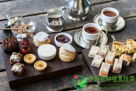 初春流感多 预防从食疗开始