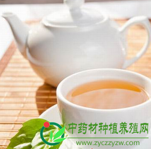 口臭怎么去除 五款中药茶还你清新口气