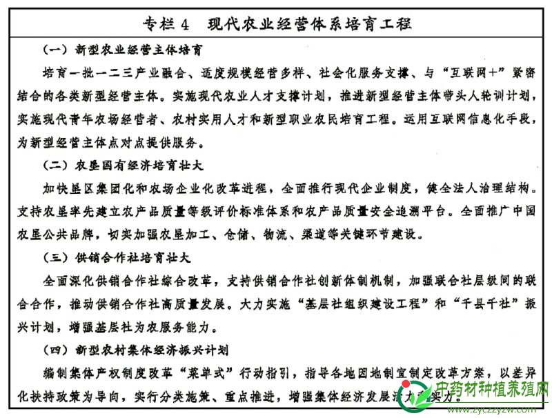 乡村振兴战略规划（2018－2022年）