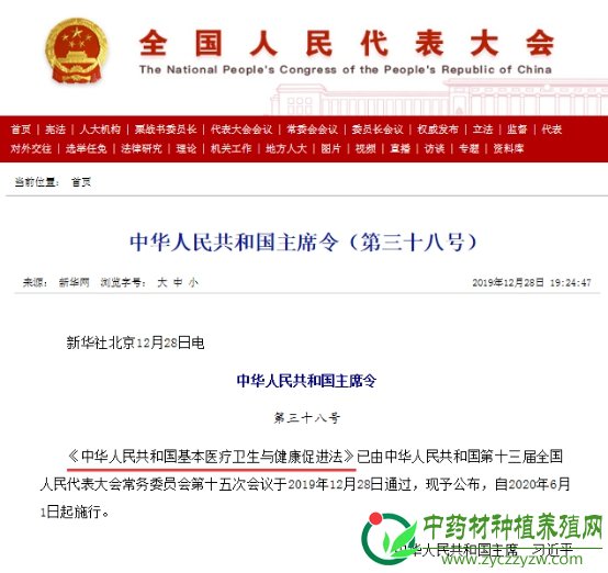 首部卫生健康&ldquo;基本法&rdquo;：中西并重，保障基层就医用药